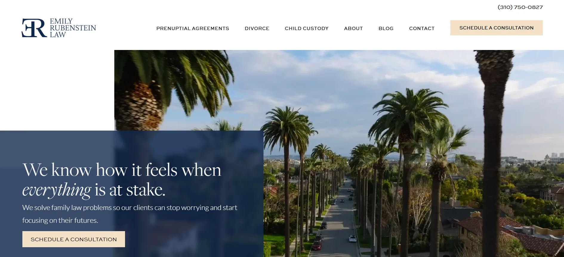 Emily Rubenstein Law homepage — a Beverly Hills family law boutique