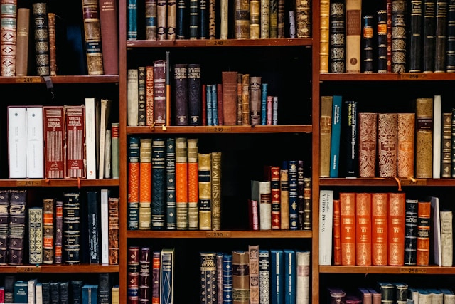 Law books — Illinois state court ruling on FDCPA no-injury standing