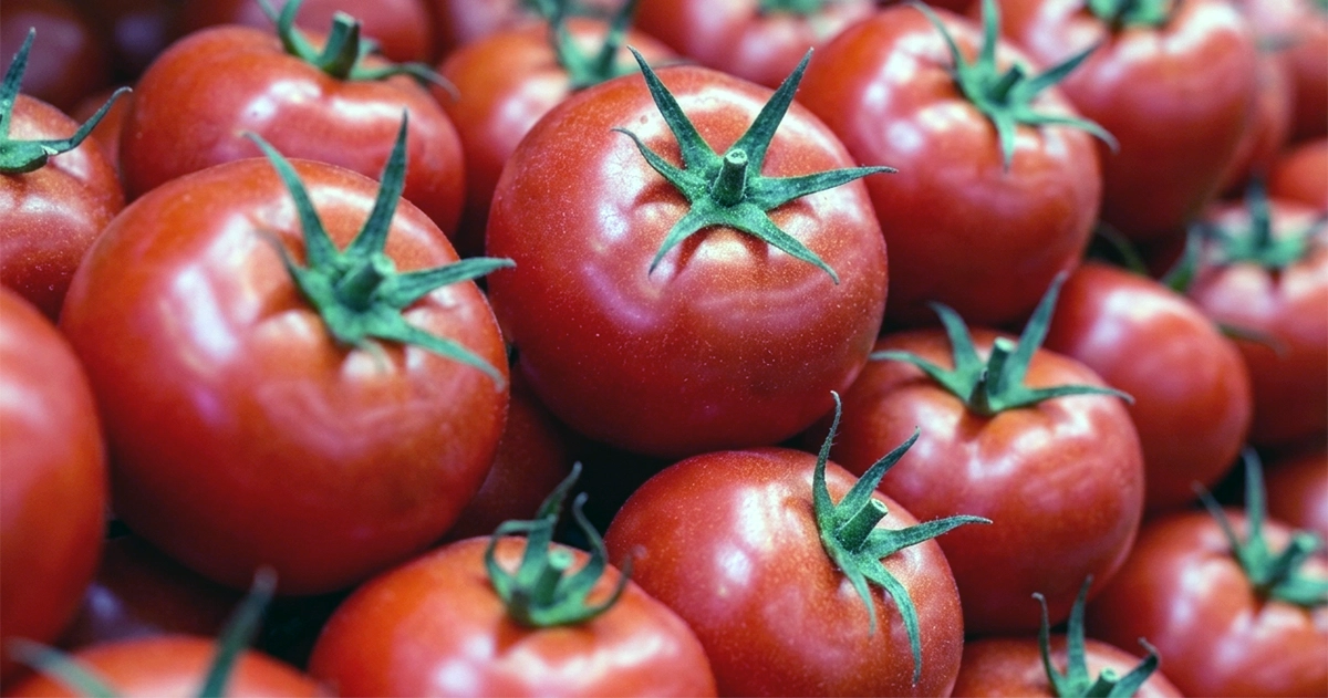 Cento Certified San Marzano tomato class action lawsuit